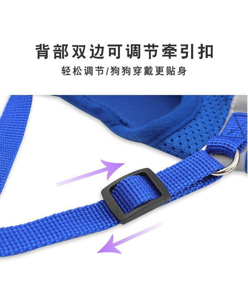 湯河店新款寵物胸背帶 融合安全、舒適與科技的愛寵出行方案